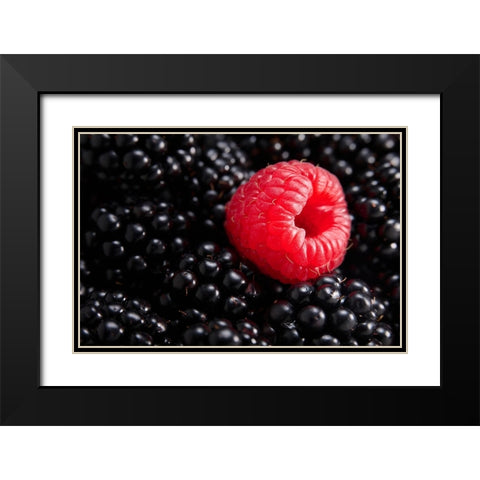 Berry different Black Modern Wood Framed Art Print with Double Matting by Sokac, Drazen