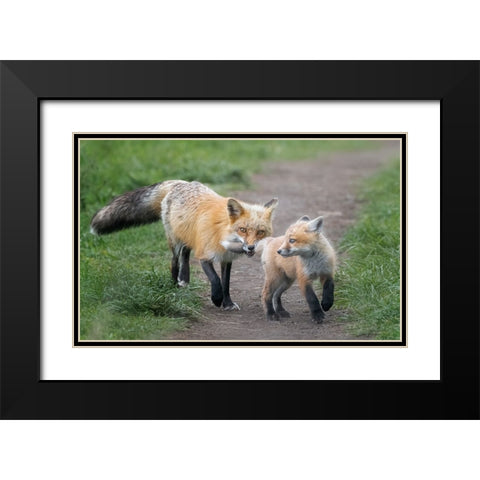 AÂ€ÂœI Catch You!AÂ€Â Black Modern Wood Framed Art Print with Double Matting by Zhang, Joan