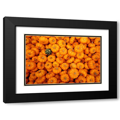 Dare to be Different Black Modern Wood Framed Art Print with Double Matting by Ungvari, Rose
