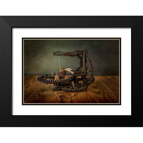 Going To Seed Black Modern Wood Framed Art Print with Double Matting by Berberich, Matthew