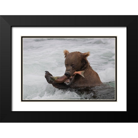 Fresh Salmon Black Modern Wood Framed Art Print with Double Matting by Tracy