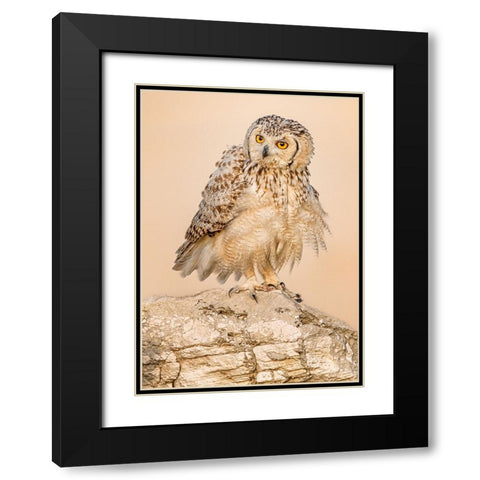 New Hair Cut.! Black Modern Wood Framed Art Print with Double Matting by Elkahlawi, Ahmed