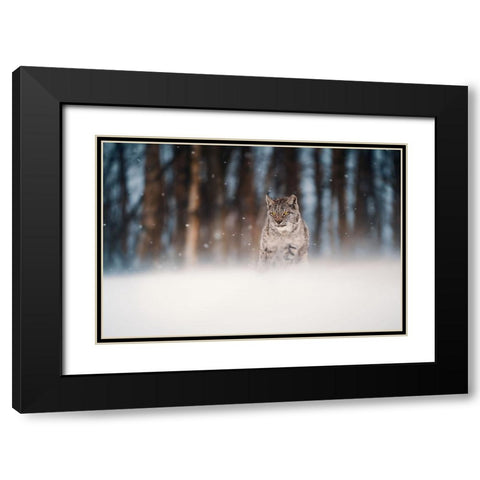 Amidst Snowstorm Black Modern Wood Framed Art Print with Double Matting by Furch, Lukas