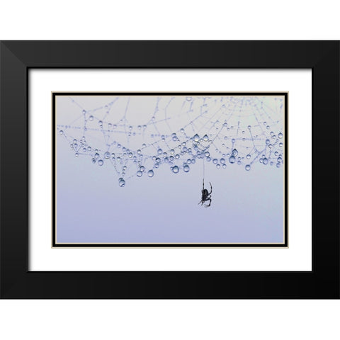 Trasparency Black Modern Wood Framed Art Print with Double Matting by Pizzocaro, Giorgio