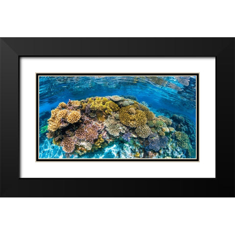 Panoreef Black Modern Wood Framed Art Print with Double Matting by Gabriel, Barathieu