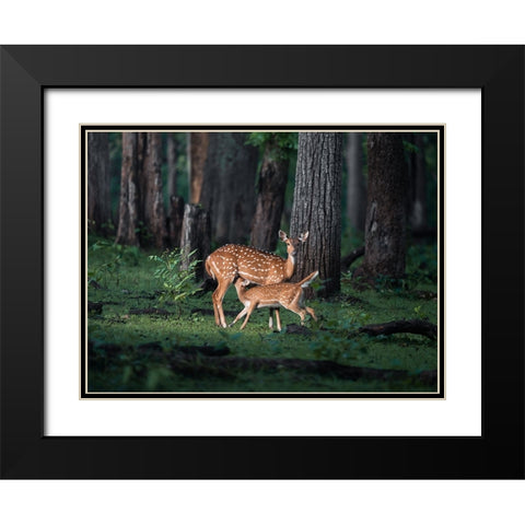 Sanctity Of Motherhood Black Modern Wood Framed Art Print with Double Matting by Rawat, Chaitanya