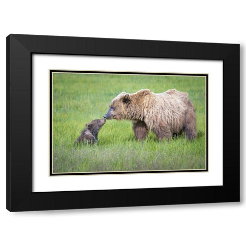 Not Seeing Eye To Eye.... Black Modern Wood Framed Art Print with Double Matting by C. Sink, Jeffrey