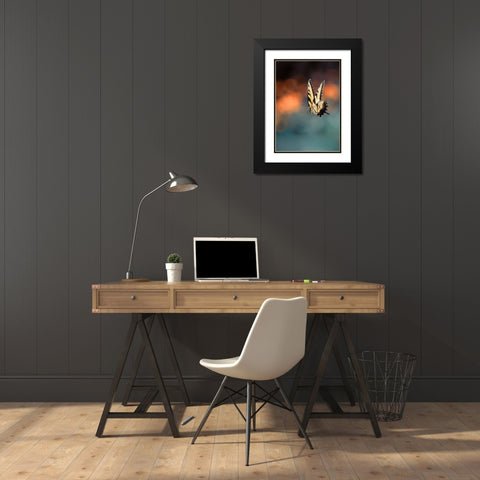Flying Butterfly Black Modern Wood Framed Art Print with Double Matting by Shen, Yanyu