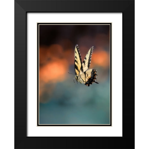 Flying Butterfly Black Modern Wood Framed Art Print with Double Matting by Shen, Yanyu