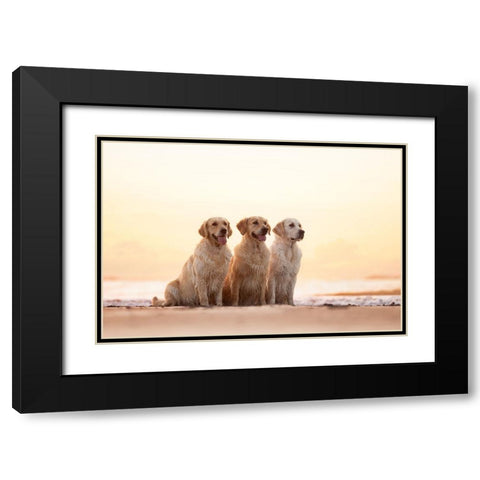 Golden Hour Black Modern Wood Framed Art Print with Double Matting by Eeckloo, Valerie