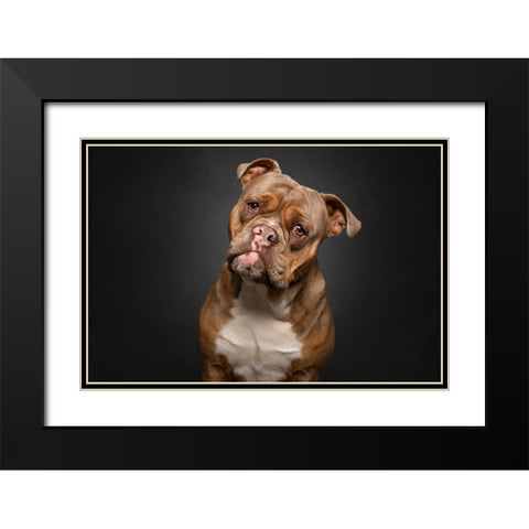 Serious Business Black Modern Wood Framed Art Print with Double Matting by Eeckloo, Valerie