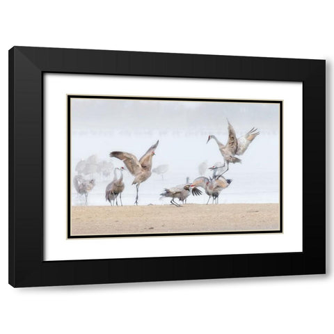 Dancing In The Foggy Morning Black Modern Wood Framed Art Print with Double Matting by Zuo, Jun