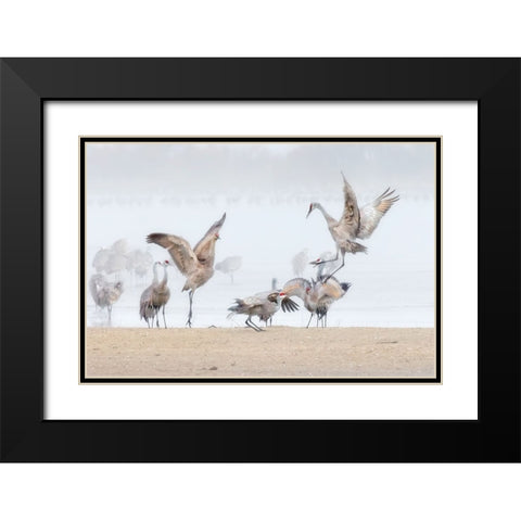 Dancing In The Foggy Morning Black Modern Wood Framed Art Print with Double Matting by Zuo, Jun