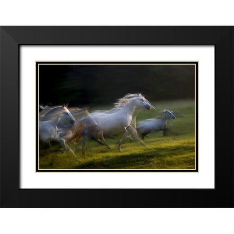 white dominance Black Modern Wood Framed Art Print with Double Matting by Malovrh, Milan
