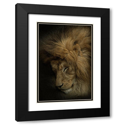 Healing Heart Black Modern Wood Framed Art Print with Double Matting by Nakatsuka, Takayuki