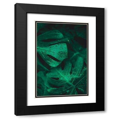 Green like life Black Modern Wood Framed Art Print with Double Matting by Hamedani, Ardalan