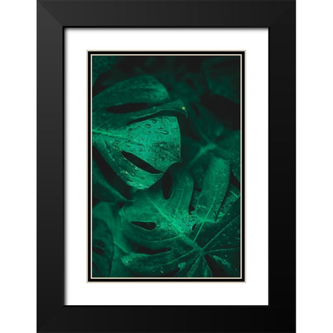 Green like life Black Modern Wood Framed Art Print with Double Matting by Hamedani, Ardalan