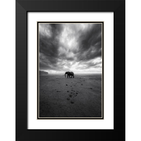 Amboseli Black Modern Wood Framed Art Print with Double Matting by Swapnil