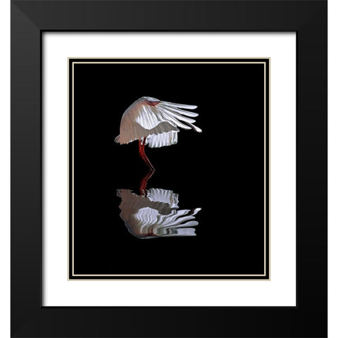 The Ave Black Modern Wood Framed Art Print with Double Matting by Luis Duran, Juan