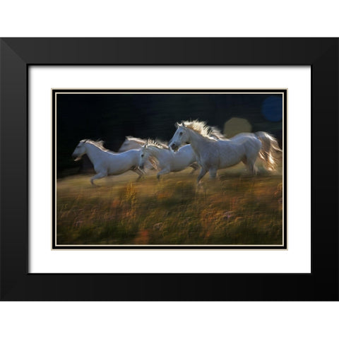 Pass Black Modern Wood Framed Art Print with Double Matting by Malovrh, Milan
