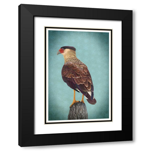 Carancho Black Modern Wood Framed Art Print with Double Matting by Caballero, Franco