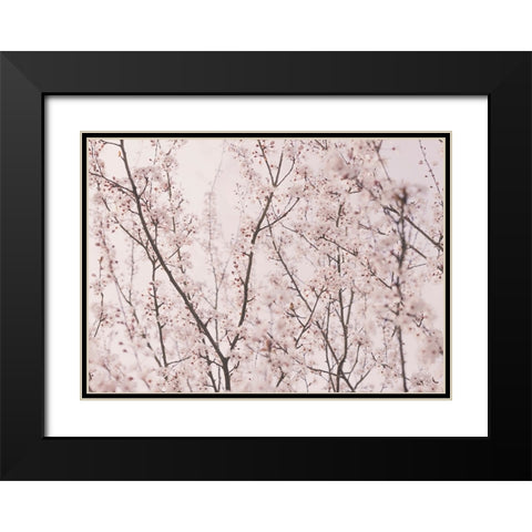 Spring blossoms Black Modern Wood Framed Art Print with Double Matting by Pienaar, Kathrin