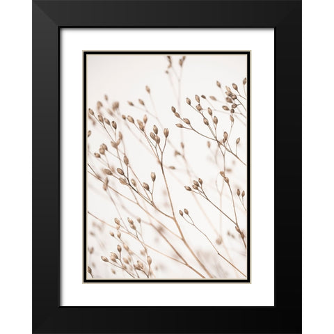 Wild Grass Black Modern Wood Framed Art Print with Double Matting by Pienaar, Kathrin