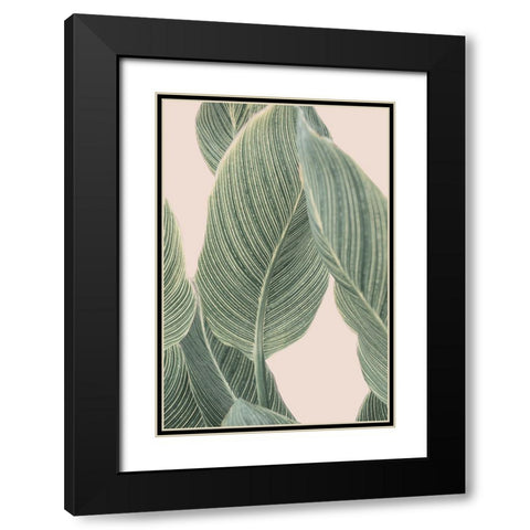 Calla Leaf Black Modern Wood Framed Art Print with Double Matting by Pienaar, Kathrin