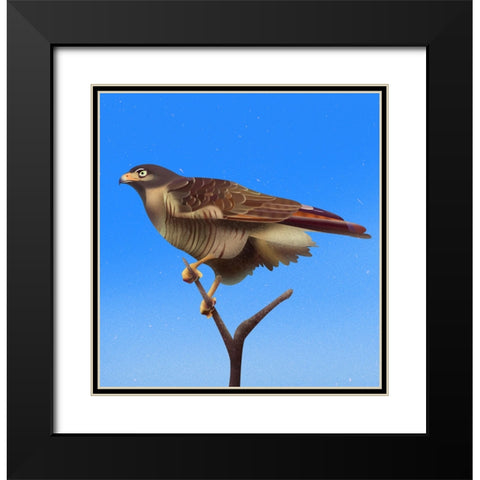 Hawk Black Modern Wood Framed Art Print with Double Matting by Caballero, Franco