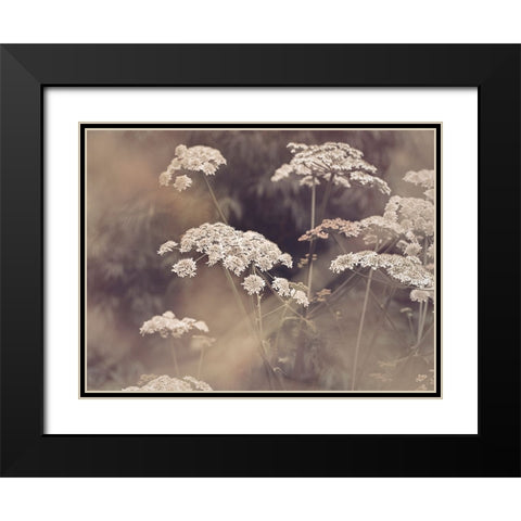 Wild Parsley Black Modern Wood Framed Art Print with Double Matting by Pienaar, Kathrin