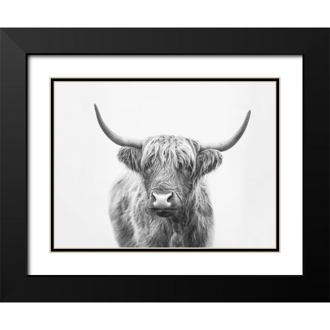 Highland Bull Black Modern Wood Framed Art Print with Double Matting by Pienaar, Kathrin