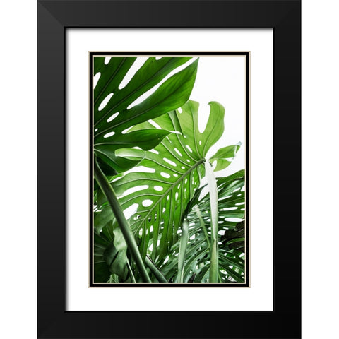 Jungle Black Modern Wood Framed Art Print with Double Matting by Pienaar, Kathrin