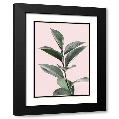 Foliage on Pink Black Modern Wood Framed Art Print with Double Matting by Pienaar, Kathrin