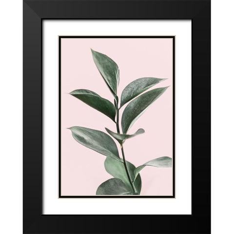 Foliage on Pink Black Modern Wood Framed Art Print with Double Matting by Pienaar, Kathrin