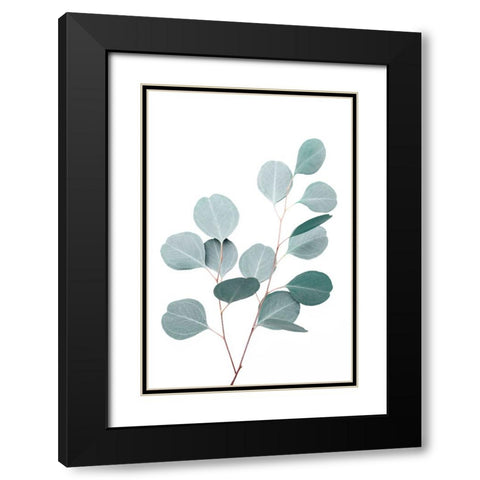 Silverdollar Black Modern Wood Framed Art Print with Double Matting by Pienaar, Kathrin