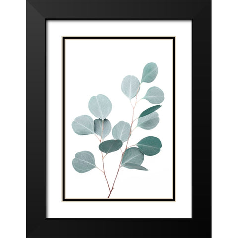 Silverdollar Black Modern Wood Framed Art Print with Double Matting by Pienaar, Kathrin
