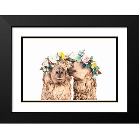 Boho Alpacas Black Modern Wood Framed Art Print with Double Matting by Pienaar, Kathrin