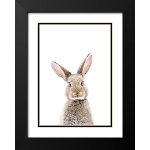 Baby Rabbit Black Modern Wood Framed Art Print with Double Matting by Pienaar, Kathrin