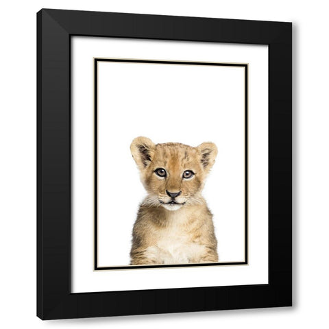 Baby Lion Black Modern Wood Framed Art Print with Double Matting by Pienaar, Kathrin