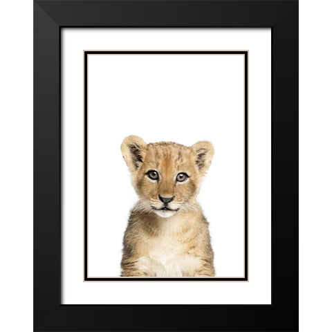 Baby Lion Black Modern Wood Framed Art Print with Double Matting by Pienaar, Kathrin