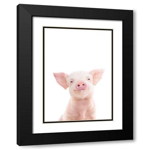 Baby Pig Black Modern Wood Framed Art Print with Double Matting by Pienaar, Kathrin