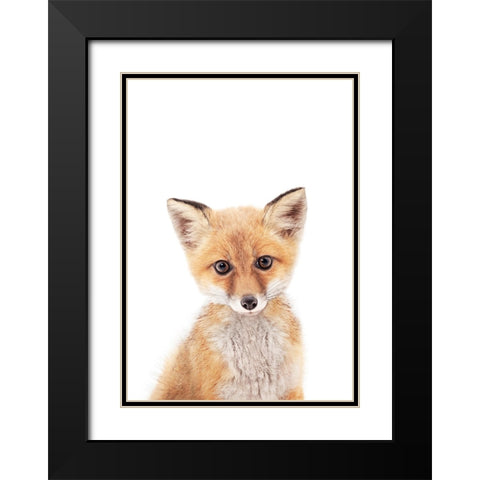 Baby Fox Black Modern Wood Framed Art Print with Double Matting by Pienaar, Kathrin