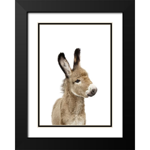 Baby Donkey Black Modern Wood Framed Art Print with Double Matting by Pienaar, Kathrin