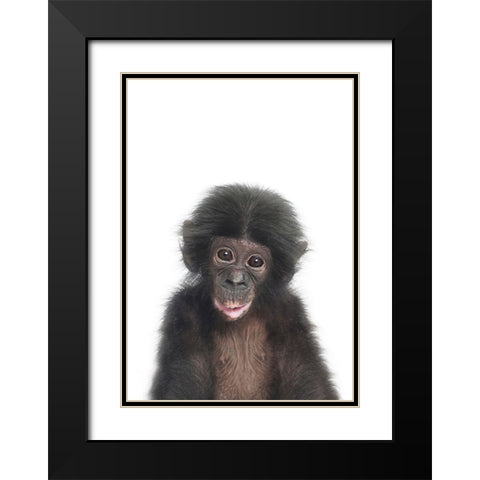 Baby Monkey Black Modern Wood Framed Art Print with Double Matting by Pienaar, Kathrin