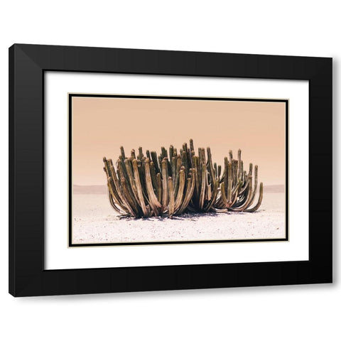 Peach Sky Cactus Black Modern Wood Framed Art Print with Double Matting by Pienaar, Kathrin