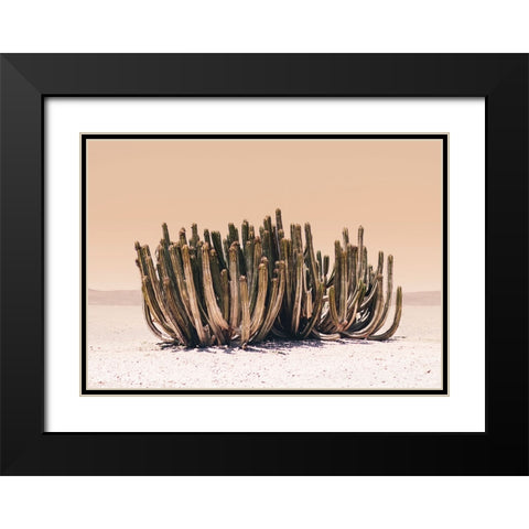 Peach Sky Cactus Black Modern Wood Framed Art Print with Double Matting by Pienaar, Kathrin