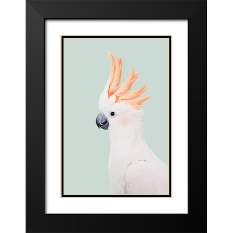 Cockatoo Black Modern Wood Framed Art Print with Double Matting by Pienaar, Kathrin