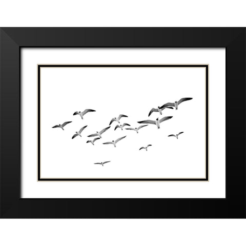 Flying Birds Black Modern Wood Framed Art Print with Double Matting by Pienaar, Kathrin