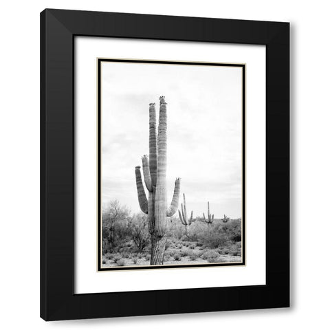 Saguaro BaW Black Modern Wood Framed Art Print with Double Matting by Pienaar, Kathrin