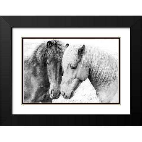 Horse Love Black Modern Wood Framed Art Print with Double Matting by Pienaar, Kathrin